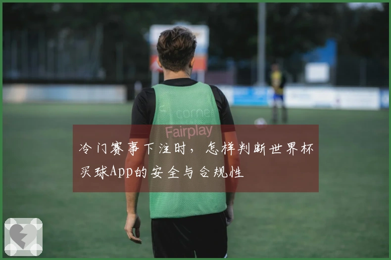 冷门赛事下注时，怎样判断世界杯买球App的安全与合规性