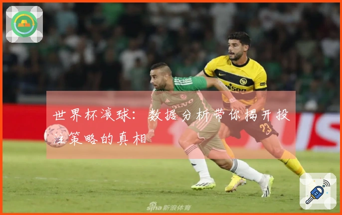 世界杯滚球：数据分析带你揭开投注策略的真相