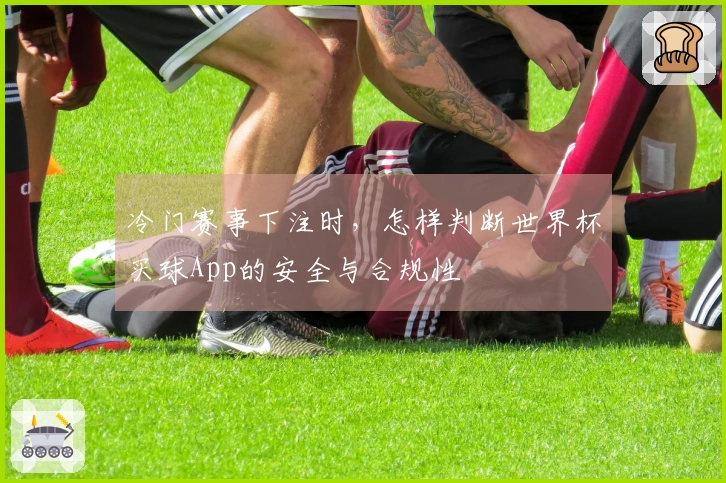 冷门赛事下注时，怎样判断世界杯买球App的安全与合规性