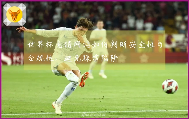 世界杯竞猜网站如何判断安全性与合规性，避免踩雷陷阱